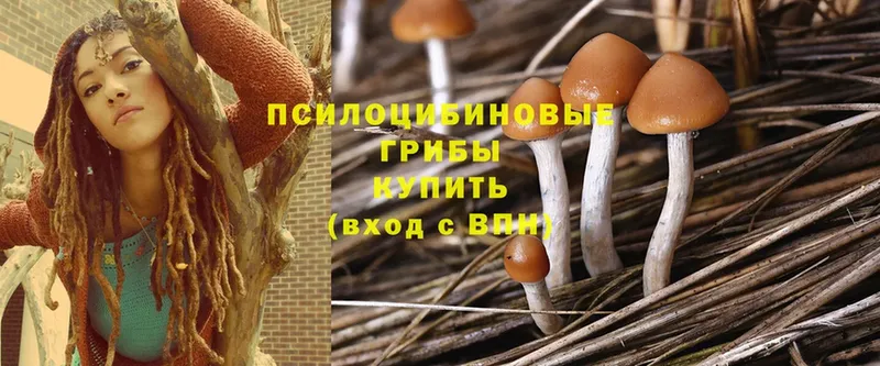 Галлюциногенные грибы GOLDEN TEACHER  Козловка 